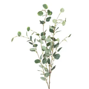Eucalyptus Spray Extra Long 1.21M by Florabelle Living, a Plants for sale on Style Sourcebook