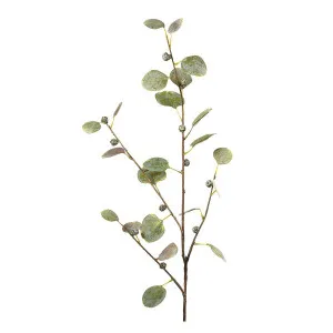 Eucalyptus Spray 90Cm by Florabelle Living, a Plants for sale on Style Sourcebook