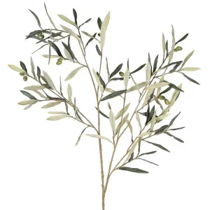 Olive Branch 94Cm Green by Florabelle Living, a Plants for sale on Style Sourcebook