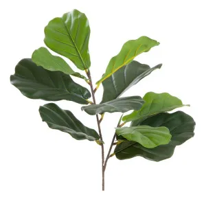 Leaf Fiddle 64Cm by Florabelle Living, a Plants for sale on Style Sourcebook