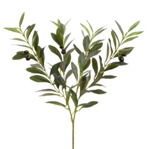 Olive Spray 90Cm Green by Florabelle Living, a Plants for sale on Style Sourcebook