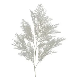 Cedar Spray Stem White by Florabelle Living, a Plants for sale on Style Sourcebook