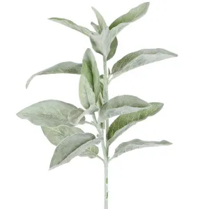 Lamb'S Ear Flocked Stem 71Cm Green by Florabelle Living, a Plants for sale on Style Sourcebook