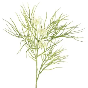 Leaf Grevillea White by Florabelle Living, a Plants for sale on Style Sourcebook