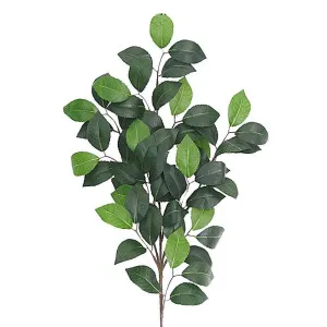 Camellia Leaf Spray 75Cm Green by Florabelle Living, a Plants for sale on Style Sourcebook