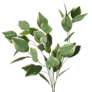 Variegated Leaf Spray 120Cm by Florabelle Living, a Plants for sale on Style Sourcebook
