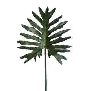 Leaf Philodendron Spray 85Cm by Florabelle Living, a Plants for sale on Style Sourcebook