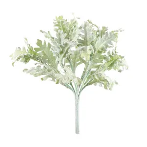 Dusty Miller Bush 25Cm by Florabelle Living, a Plants for sale on Style Sourcebook
