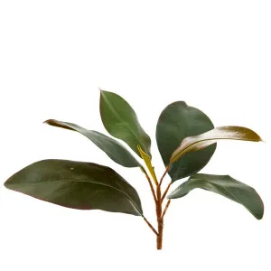 Magnolia Leaf Spray 28Cm Green by Florabelle Living, a Plants for sale on Style Sourcebook