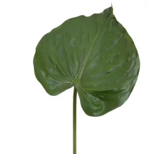 Alocasia Leaf 90Cm Green by Florabelle Living, a Plants for sale on Style Sourcebook