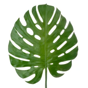 Monstera Spray 1.23M by Florabelle Living, a Plants for sale on Style Sourcebook