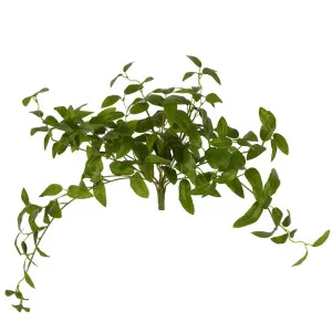 Olive Leaf Hanging Bush Green by Florabelle Living, a Plants for sale on Style Sourcebook