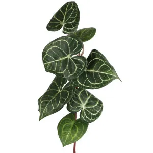Anthurium Leaf Spray by Florabelle Living, a Plants for sale on Style Sourcebook