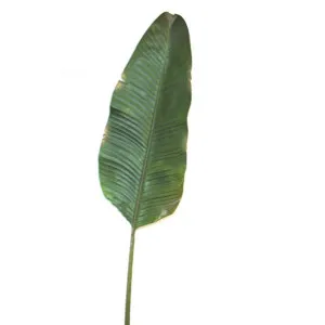 Banana Leaf 1.7M Green by Florabelle Living, a Plants for sale on Style Sourcebook