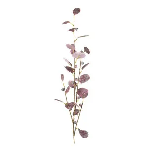 Eucalyptus Spray Burgundy 90Cm by Florabelle Living, a Plants for sale on Style Sourcebook