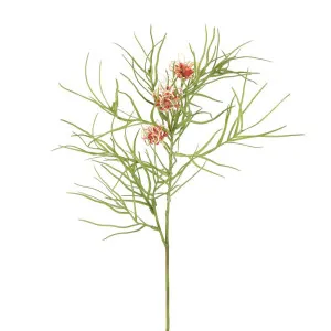 Leaf Grevillea 92Cm Pink by Florabelle Living, a Plants for sale on Style Sourcebook