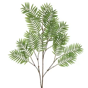 Chamedorea Leaf Spray 160Cm Green by Florabelle Living, a Plants for sale on Style Sourcebook