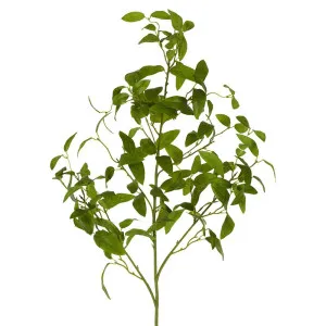 Olive Leaf Spray Stem Green by Florabelle Living, a Plants for sale on Style Sourcebook