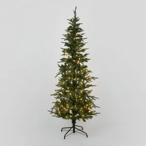 Slim Pine Tree 180Cm With 200 Led by Florabelle Living, a Christmas for sale on Style Sourcebook