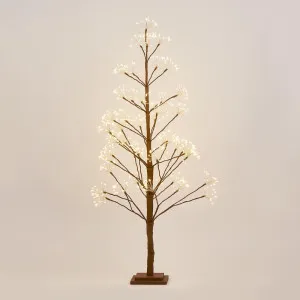 Nature Brown Starry Tree 120Cm With 660Led by Florabelle Living, a Christmas for sale on Style Sourcebook