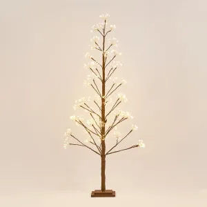 Nature Brown Starry Tree 150Cm With 720Led by Florabelle Living, a Christmas for sale on Style Sourcebook
