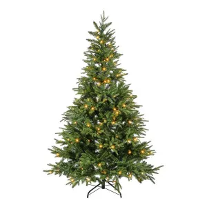 Spruce Led Christmas Tree 180Cm With 230 Led by Florabelle Living, a Christmas for sale on Style Sourcebook