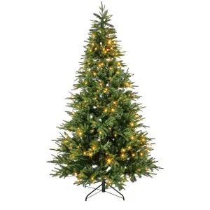 Spruce Led Christmas Tree 225Cm With 350 Led by Florabelle Living, a Christmas for sale on Style Sourcebook