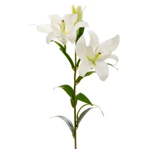 Lily Real Touch 90Cm White by Florabelle Living, a Plants for sale on Style Sourcebook