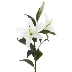 Casablanca Lily 90Cm White by Florabelle Living, a Plants for sale on Style Sourcebook