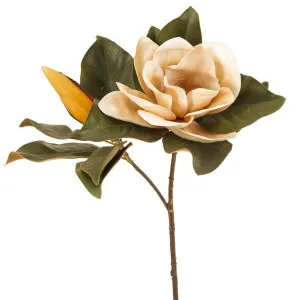 Magnolia Flower 72Cm Coffee by Florabelle Living, a Plants for sale on Style Sourcebook