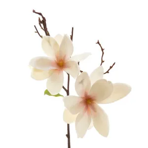 Magnolia Stem 70Cm White by Florabelle Living, a Plants for sale on Style Sourcebook