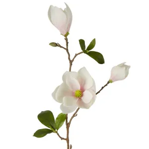 Magnolia Spray 79Cm White by Florabelle Living, a Plants for sale on Style Sourcebook