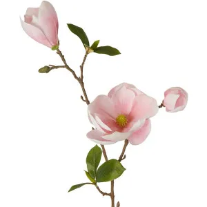 Magnolia Spray 79Cm Pink by Florabelle Living, a Plants for sale on Style Sourcebook