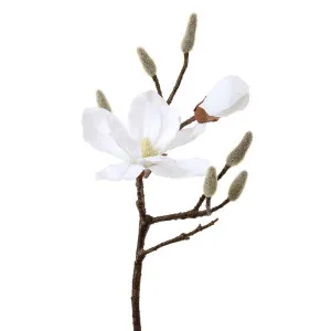 Magnolia Spray 45Cm White by Florabelle Living, a Plants for sale on Style Sourcebook