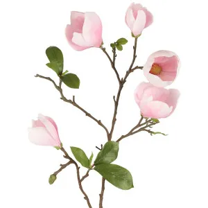 Magnolia Bud Spray 90Cm Pink by Florabelle Living, a Plants for sale on Style Sourcebook