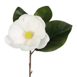 Soulangiana Magnolia Stem 60Cm White by Florabelle Living, a Plants for sale on Style Sourcebook