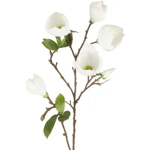 Magnolia Bud Spray 90Cm White by Florabelle Living, a Plants for sale on Style Sourcebook