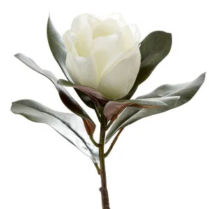 Magnolia Single Head 70Cm White by Florabelle Living, a Plants for sale on Style Sourcebook