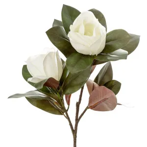 Magnolia Large 2 Heads 85Cm White by Florabelle Living, a Plants for sale on Style Sourcebook