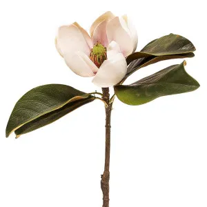 Magnolia Short Stem 60Cm Light Pink by Florabelle Living, a Plants for sale on Style Sourcebook