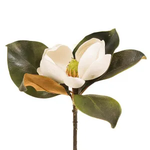 Magnolia Short Stem 60Cm White by Florabelle Living, a Plants for sale on Style Sourcebook