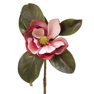 Magnolia Short Stem 60Cm Dark Pink by Florabelle Living, a Plants for sale on Style Sourcebook