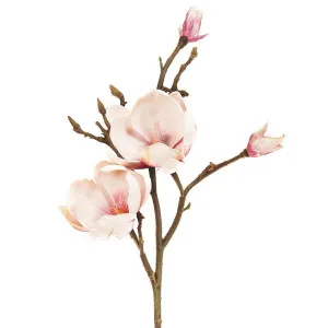 Magnolia Stem 60Cm Light Pink by Florabelle Living, a Plants for sale on Style Sourcebook