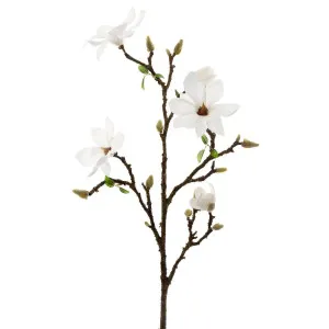 Magnolia Branch Large 1.08M White by Florabelle Living, a Plants for sale on Style Sourcebook