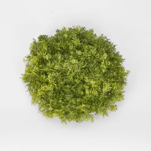 Moss Mat Round Sml by Florabelle Living, a Plants for sale on Style Sourcebook