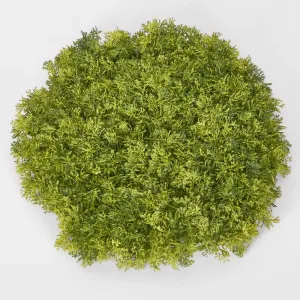 Moss Mat Round Lge by Florabelle Living, a Plants for sale on Style Sourcebook