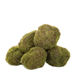 Moss Balls In Bag X6 35Cm by Florabelle Living, a Plants for sale on Style Sourcebook