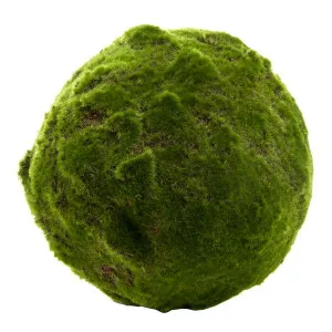 Moss Ball 33Cm by Florabelle Living, a Plants for sale on Style Sourcebook