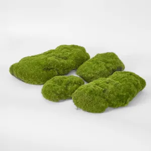 Moss Mound (Bag Of 4) by Florabelle Living, a Plants for sale on Style Sourcebook