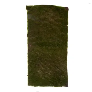 Moss Mat Large 100X50Cm Green by Florabelle Living, a Plants for sale on Style Sourcebook